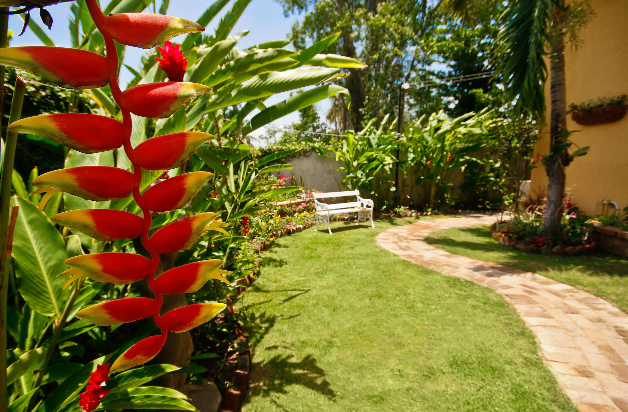 Cattleya Luxury Suites Kingston Exterior foto